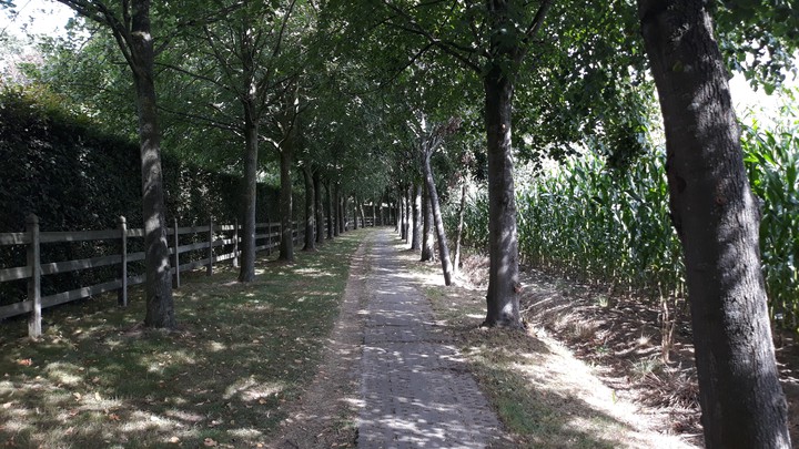 lane
