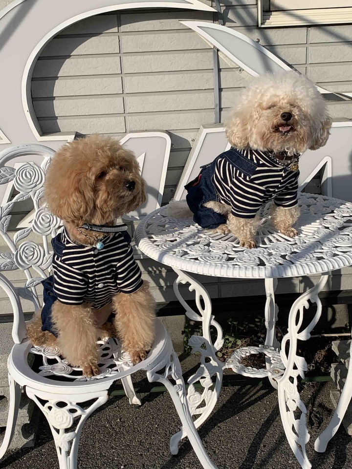 Lucky & Money