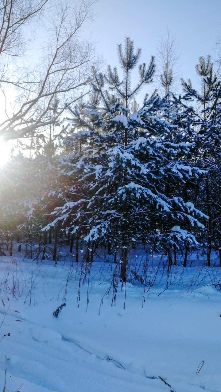 snow