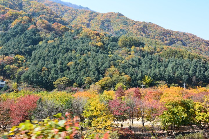 산이미지