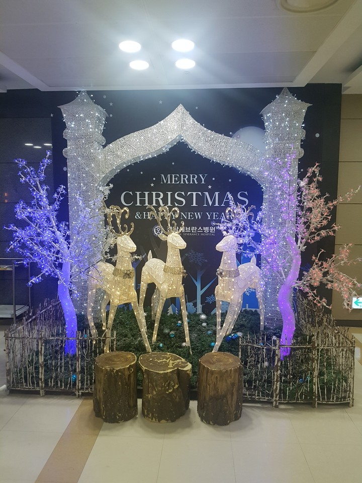 강남 쎄브란스병원
