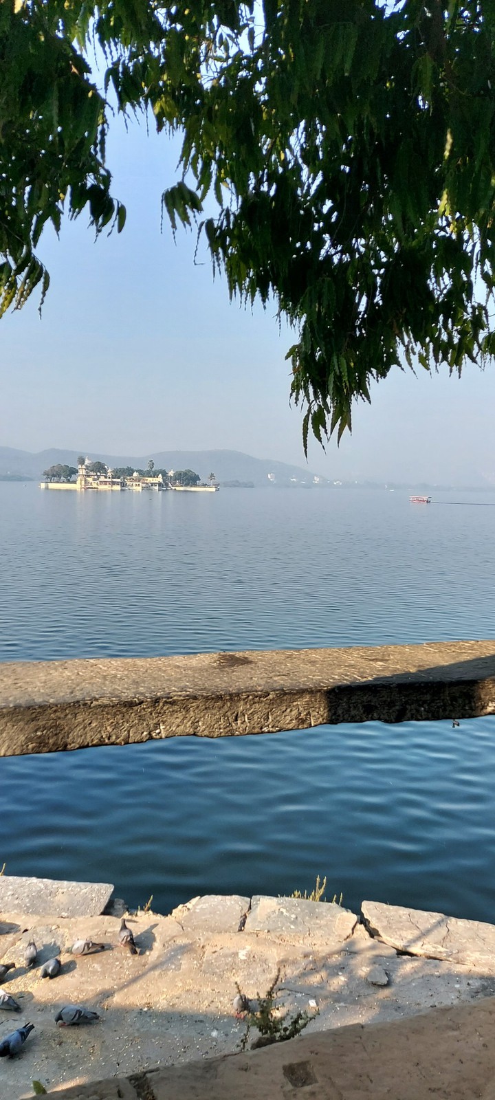 pichola