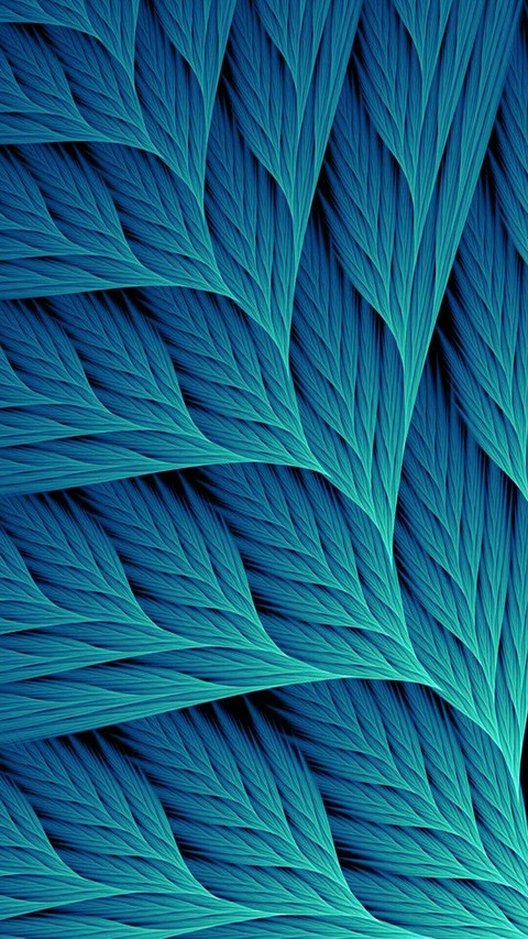 Leaf s