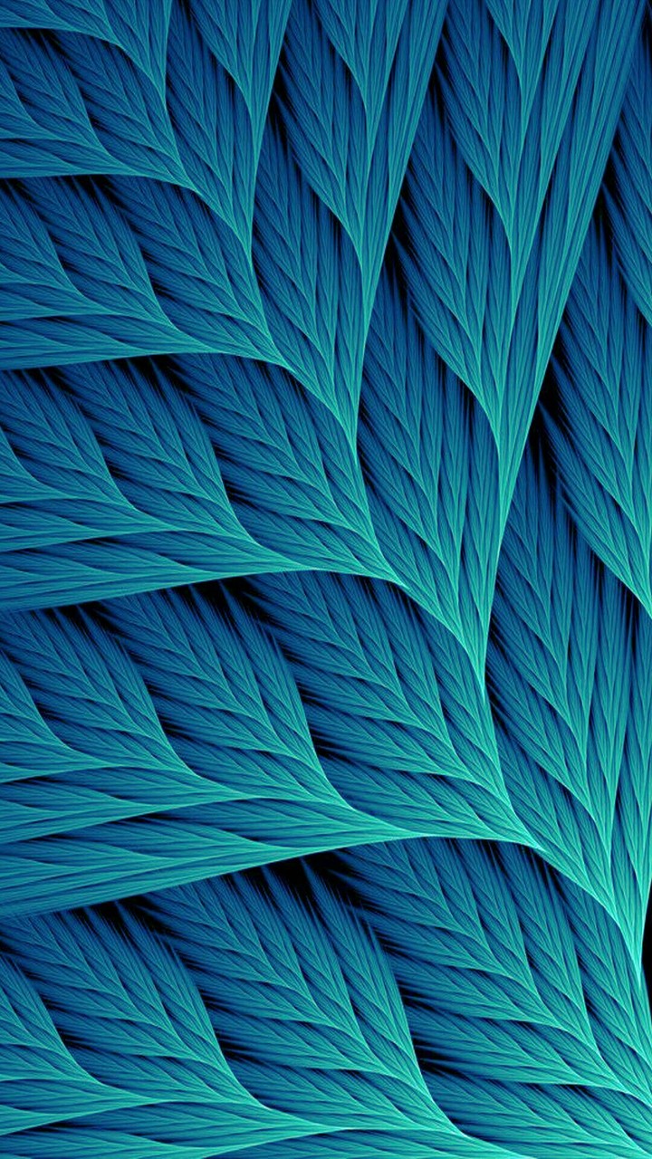Leaf s