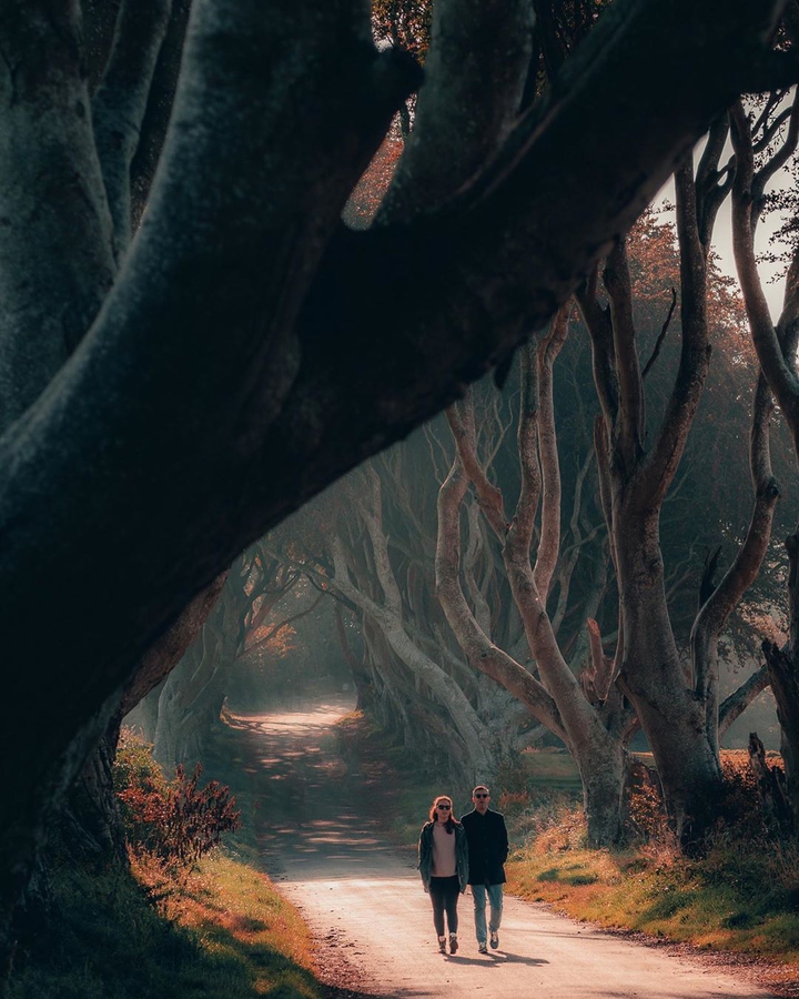 Walking