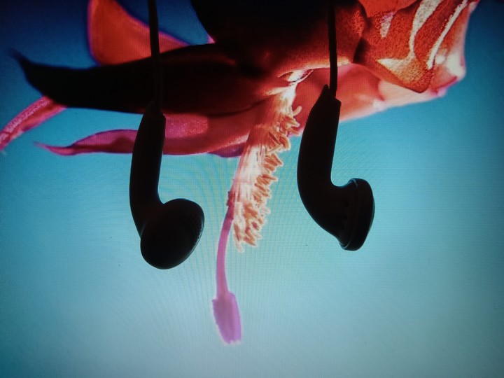Earphone
