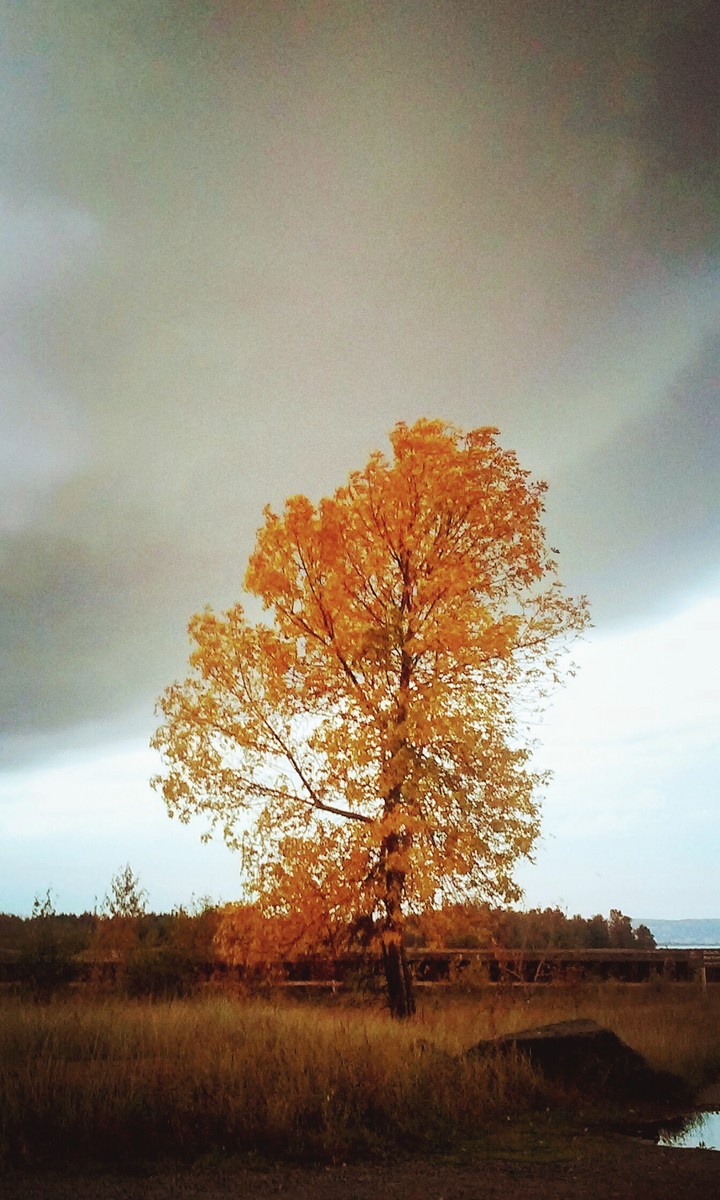 Autumn is coming