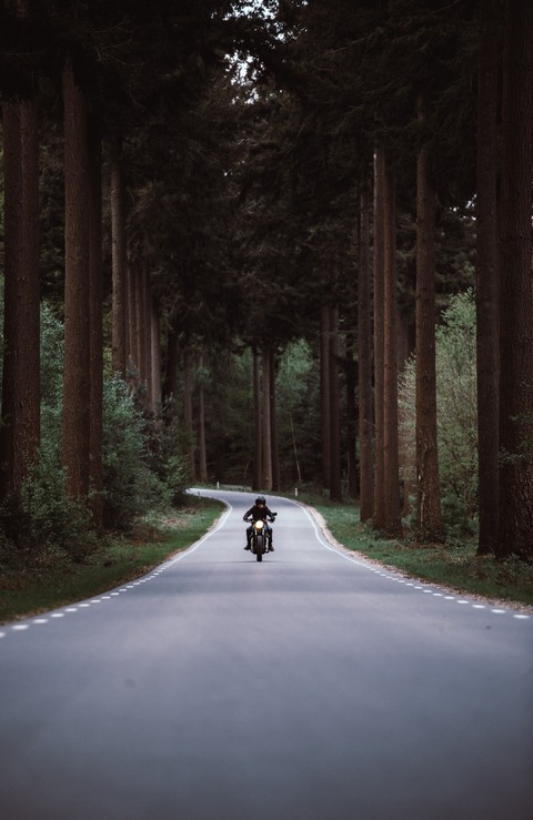 Rider