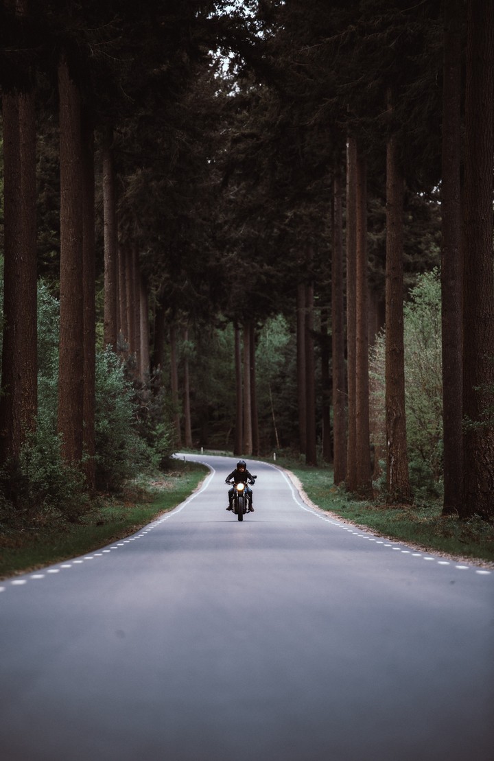 Rider