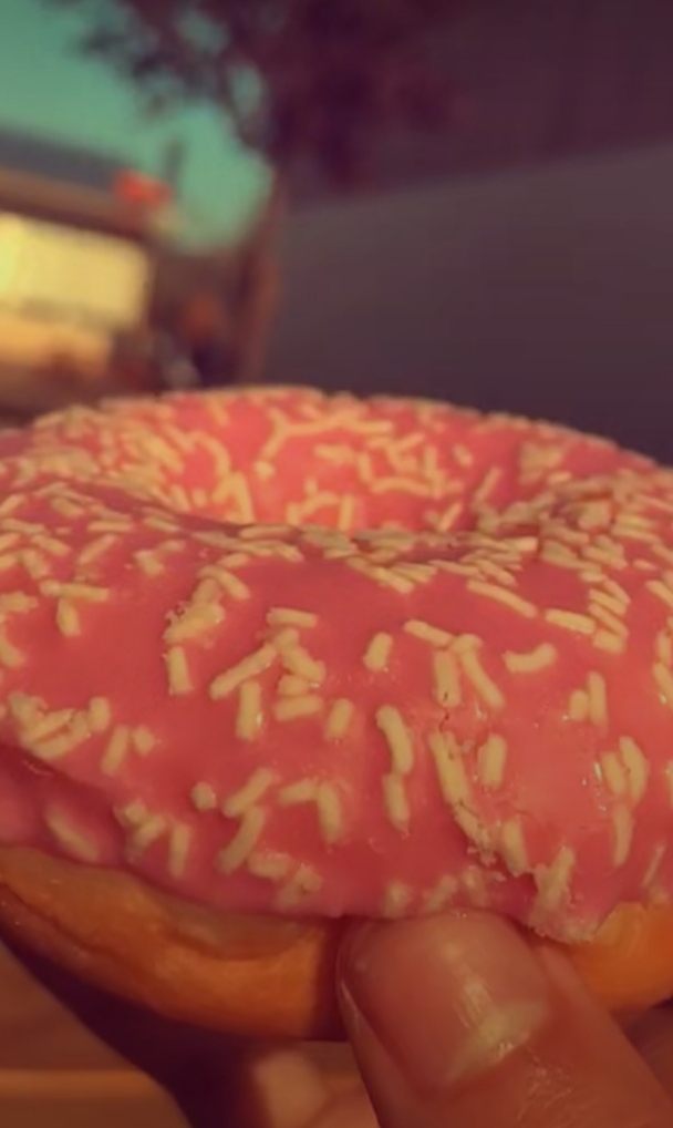 dounut