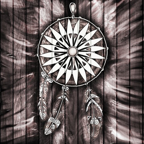 Country Dream Catcher