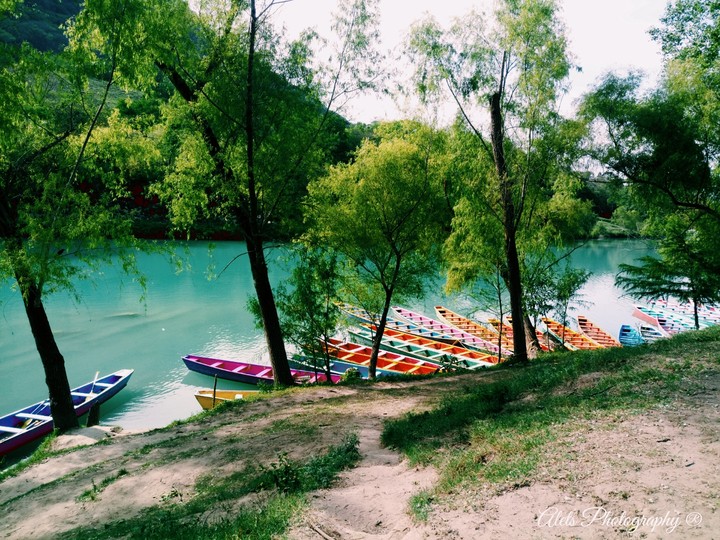 colores