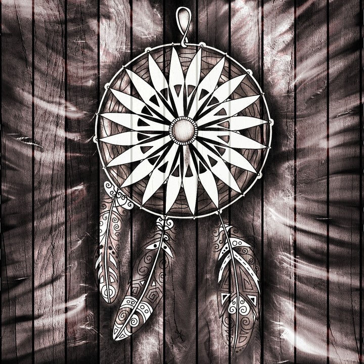 Country Dream Catcher