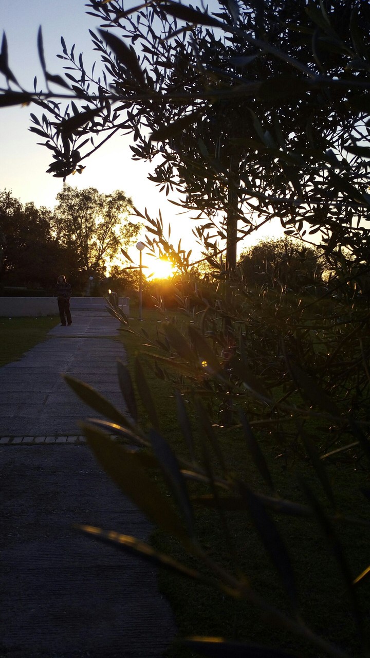 The best time of the day