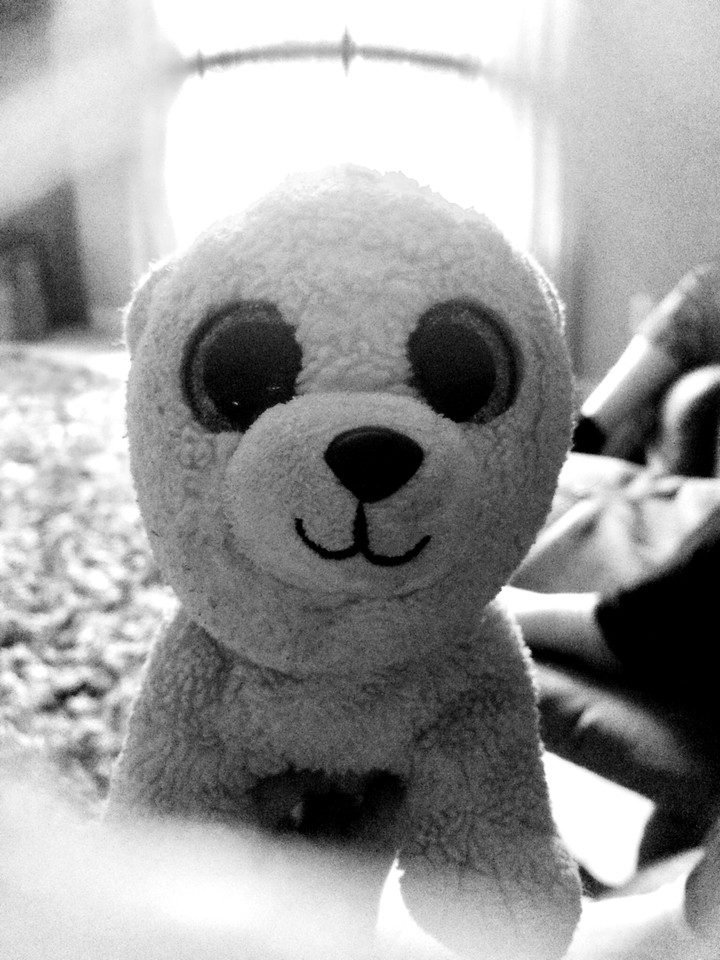 baby bear
