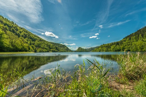 vosges