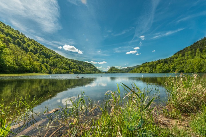 vosges