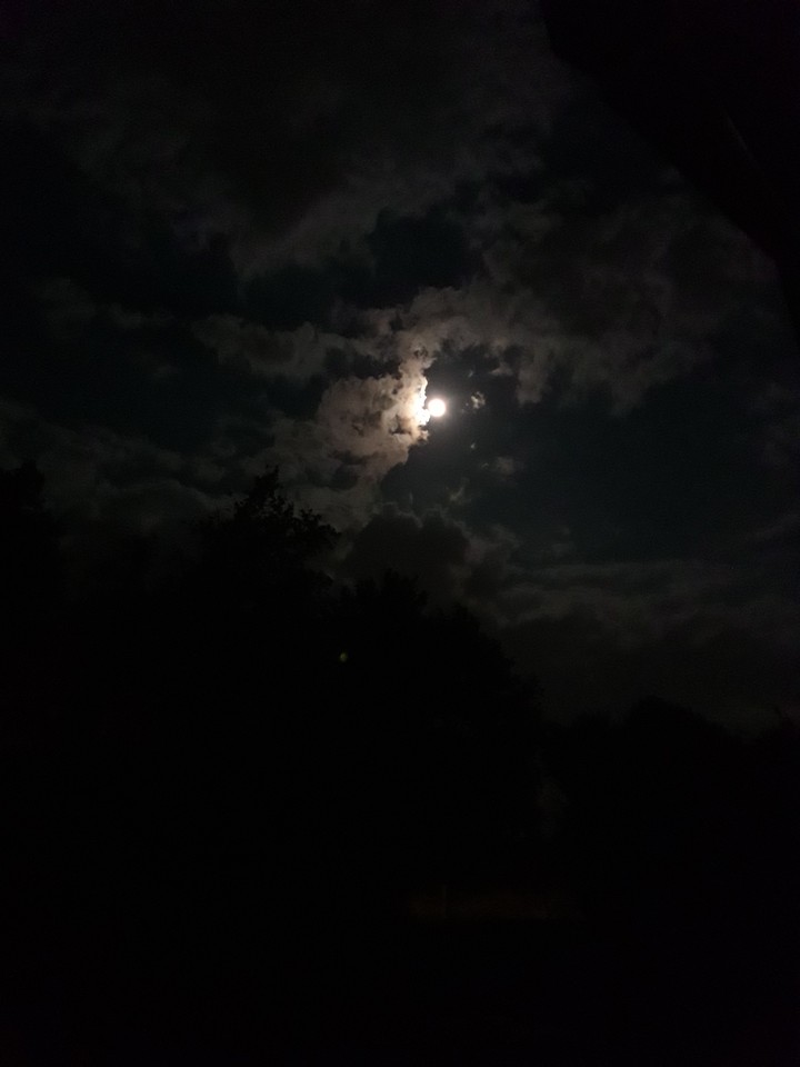 Moon