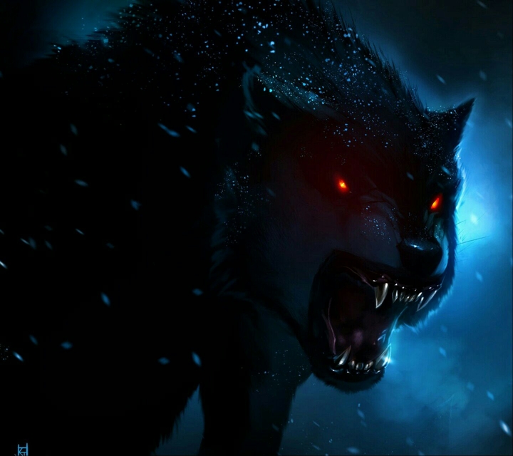 lobo
