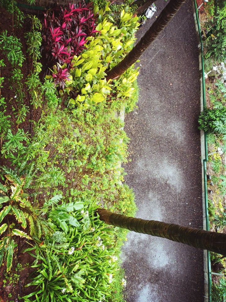 The Herb Farm - Igatpuri