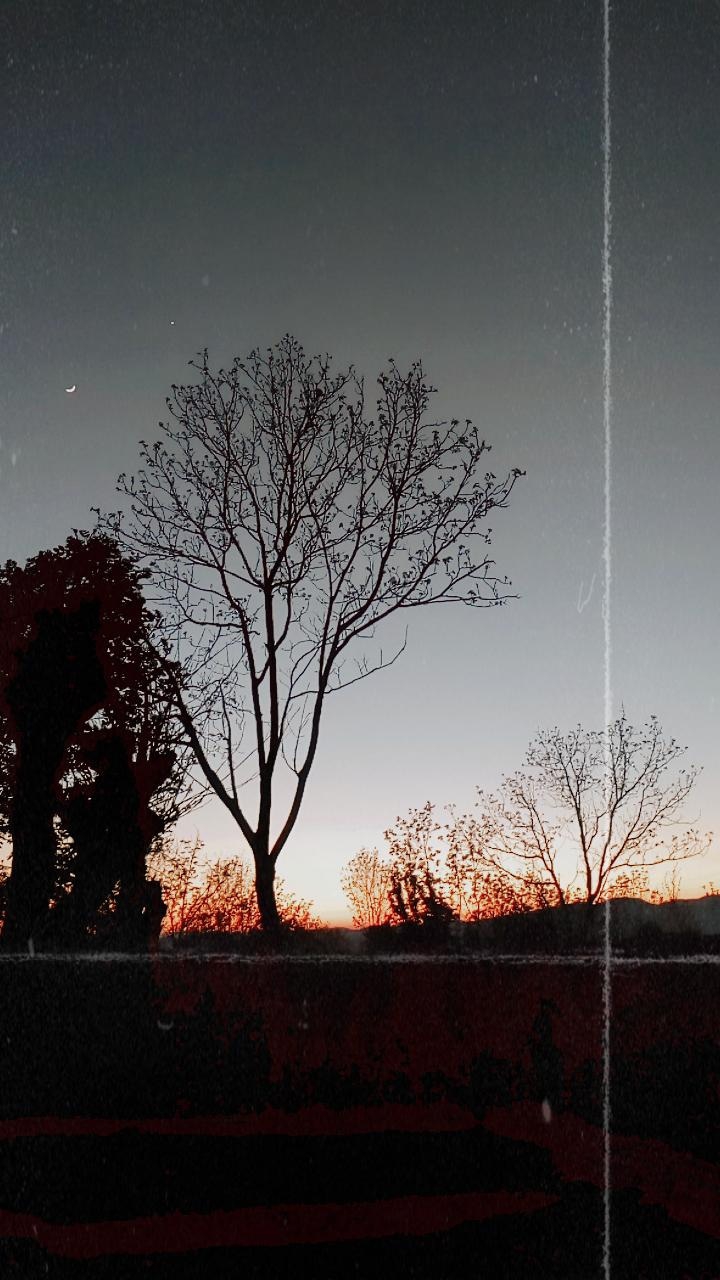 georgia country