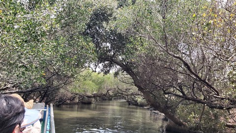 nature river