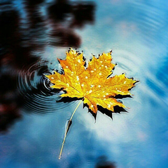 autumn