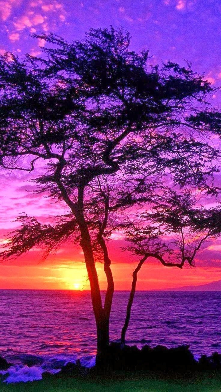 couché de soleil violet