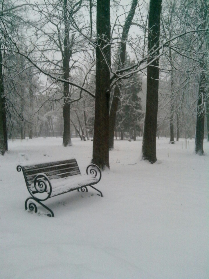 winter