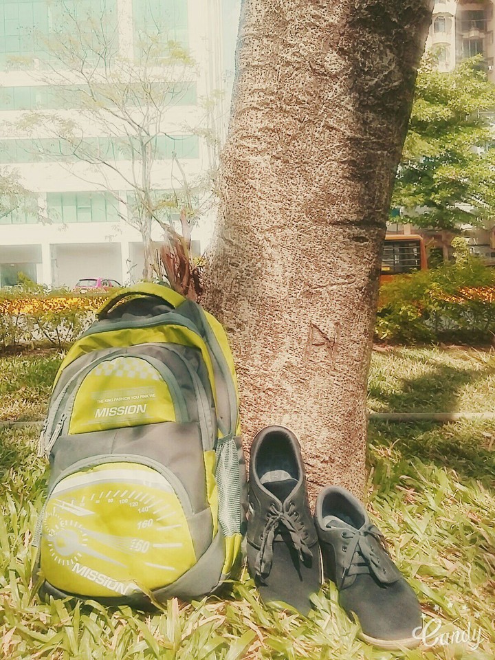 bag and shoes
