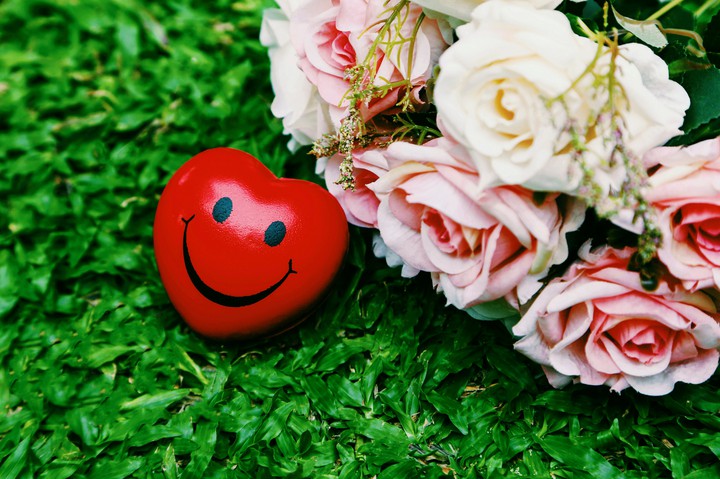 Wish You A Happy Day ❤