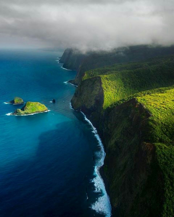 see the nature