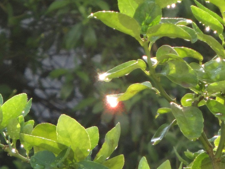 no editing original pic
