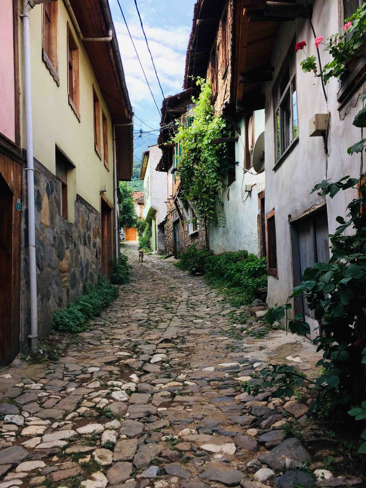 Bursa