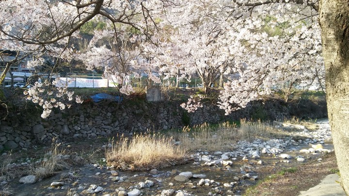 대전 동학사