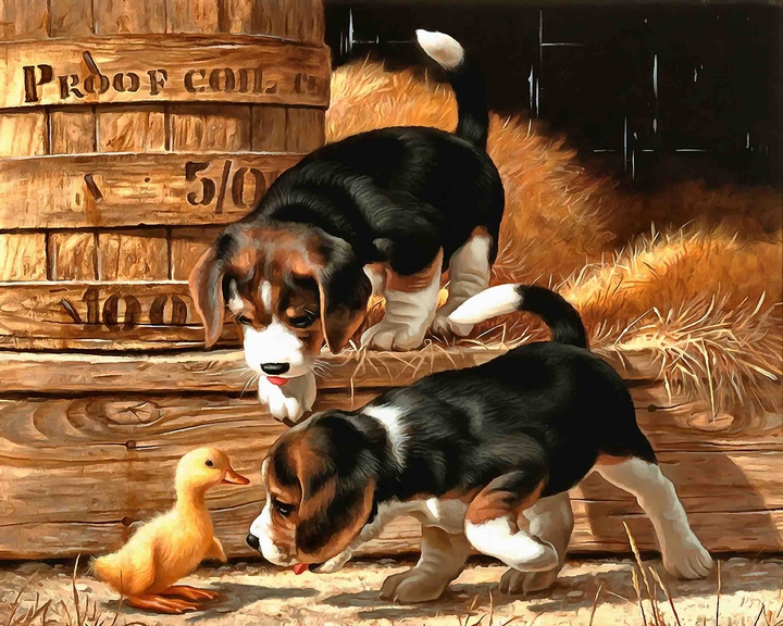 puppy