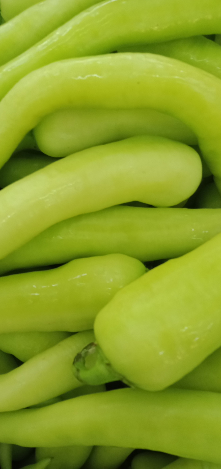Chili solok