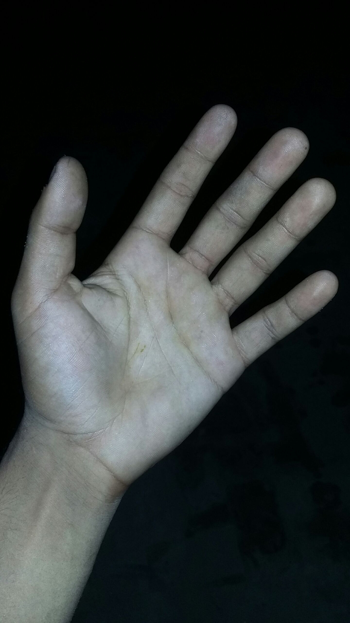 The Hand Of Human