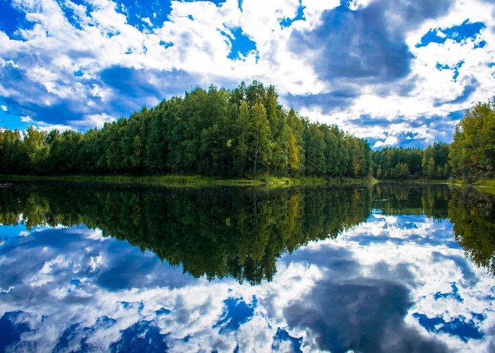 landscape