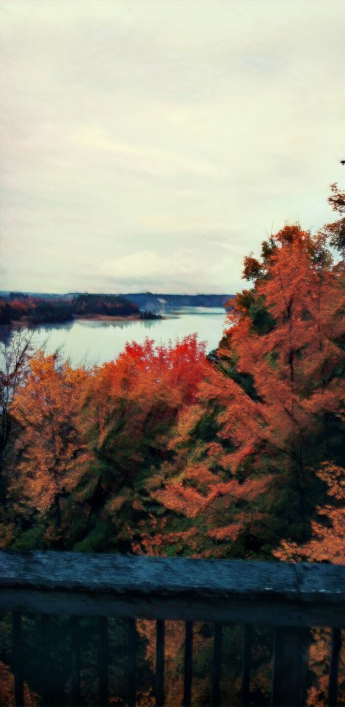 The Scenic Overlook.