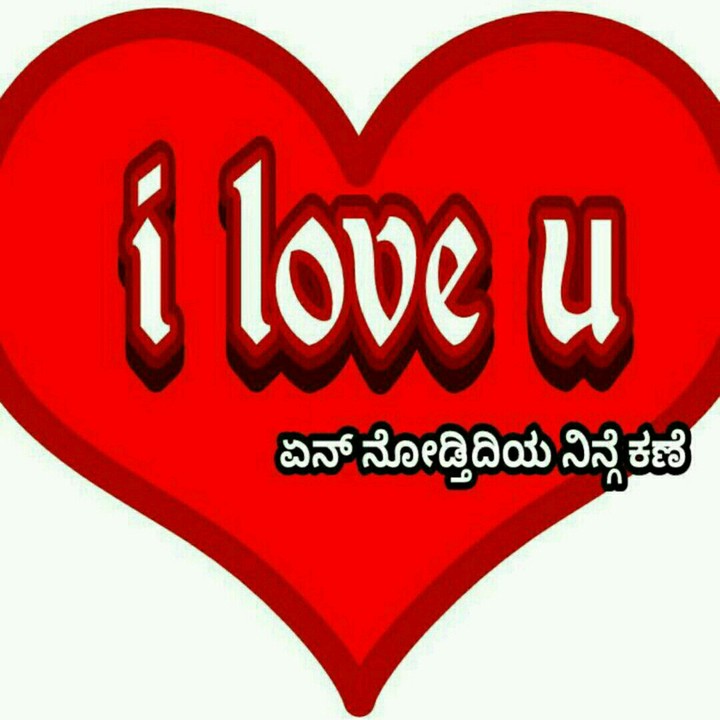 i love u guys