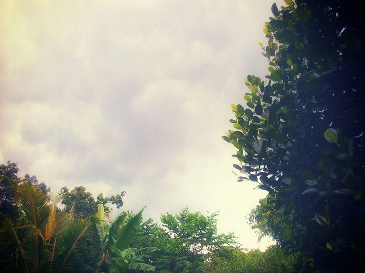 rain is coming