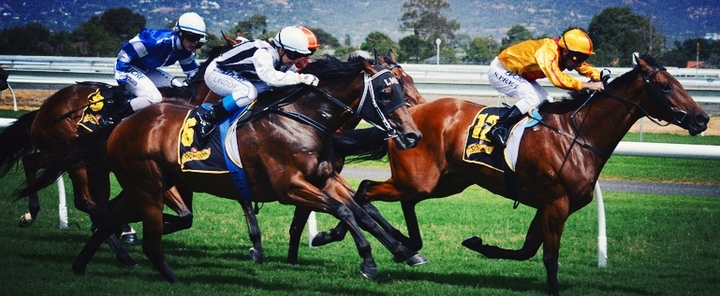 Jockeys and Horses