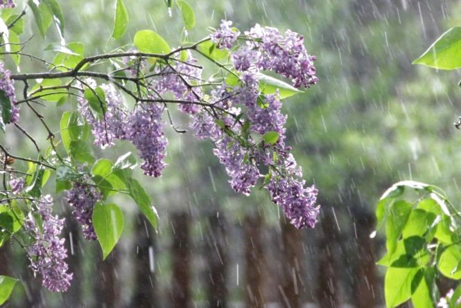 雨☔️
