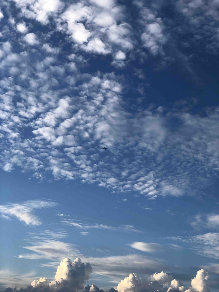 Today's SKY