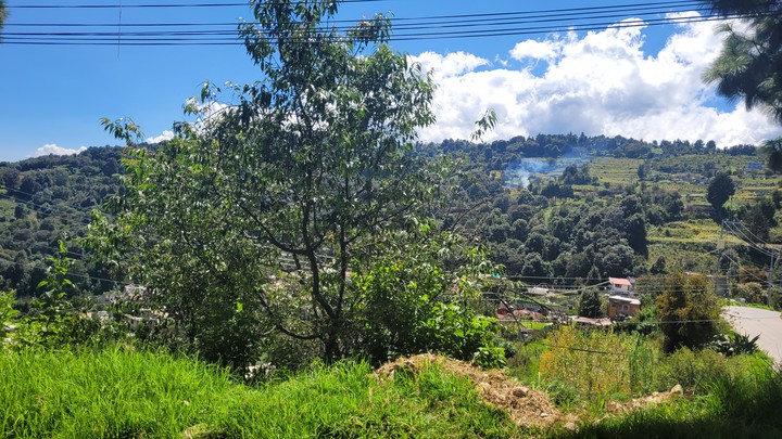 paisaje