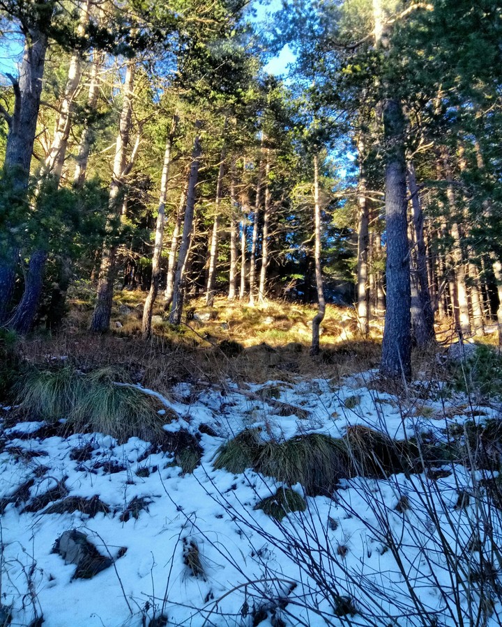 winter