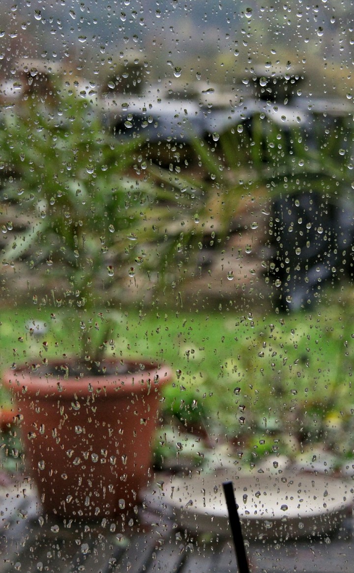 Rainy day