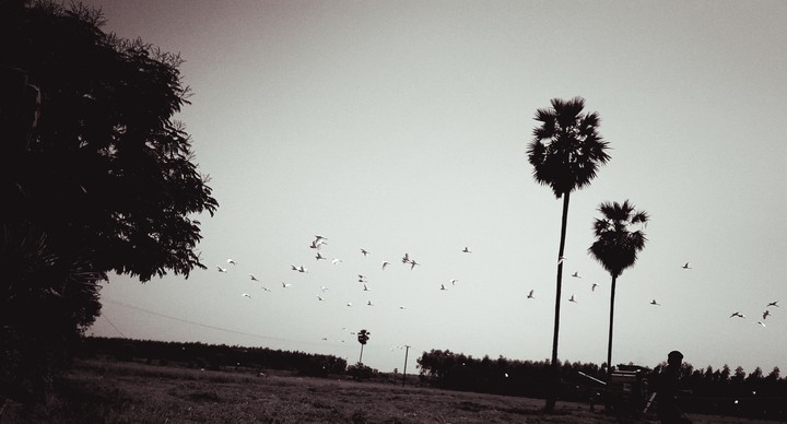 my click