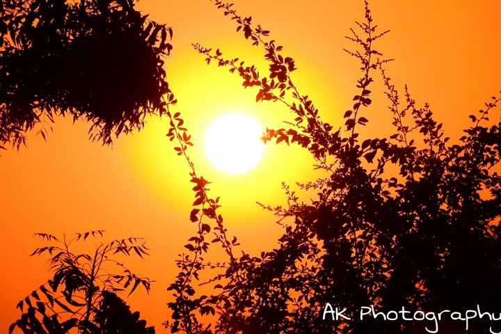 sunset